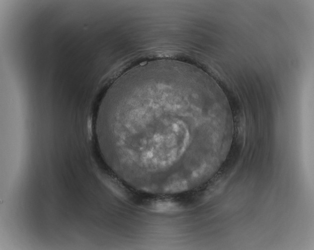 X0000116020262200911271122