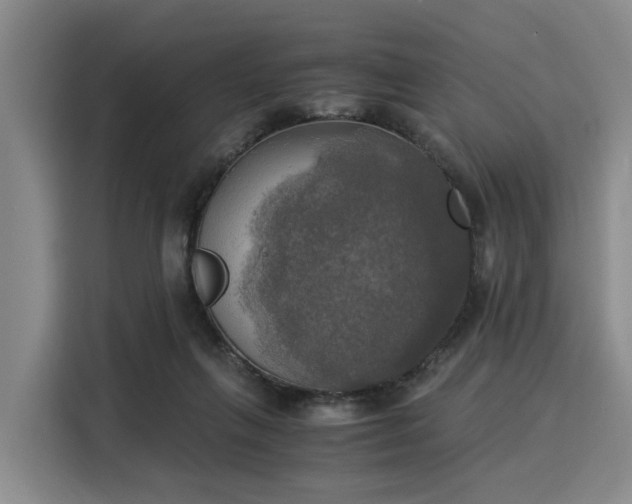 X0000116020263200911271122