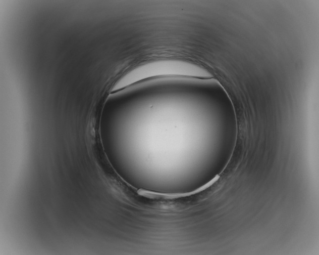 X0000116020264200911271122