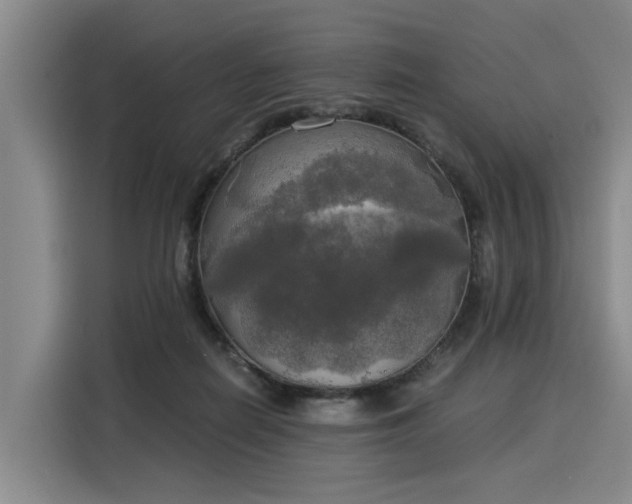 X0000116020266200911271122