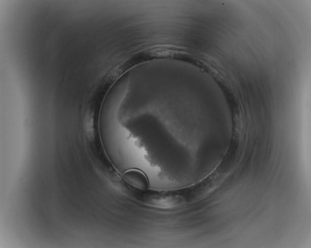 X0000116020267200911271122