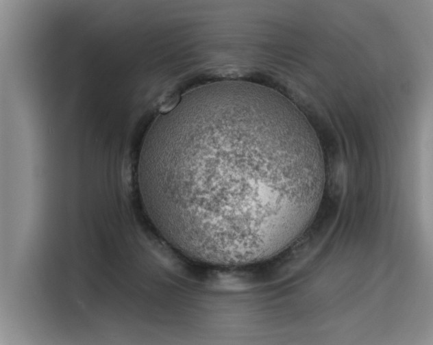 X0000116020268200911271122