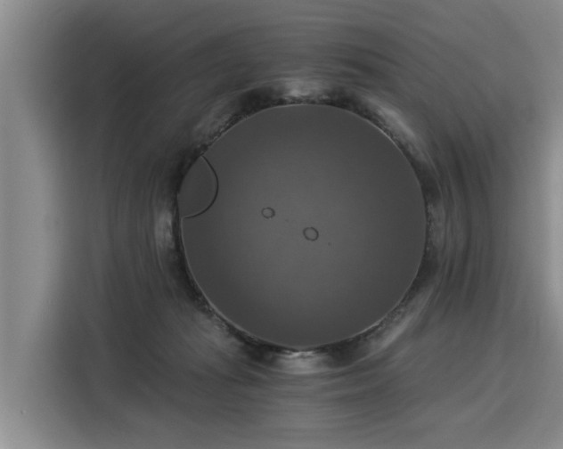 X0000116020269200911271122