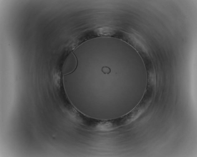 X0000116020271200911271122