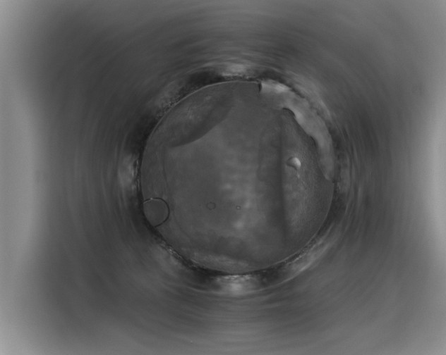 X0000116020273200911271122