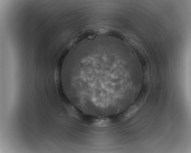 X0000116020274200911271122