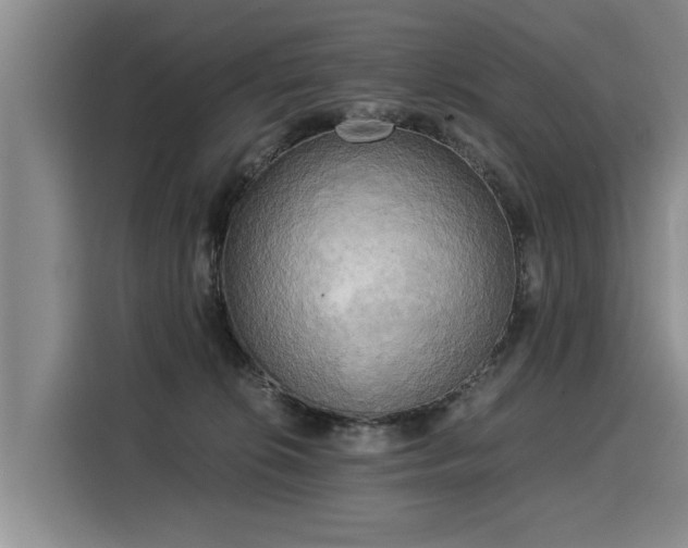 X0000116020276200911271122