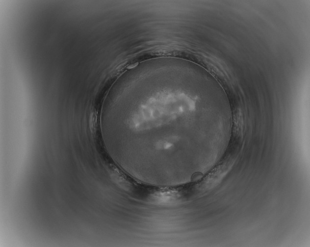 X0000116020278200911271122