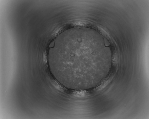 X0000116020282200911271122