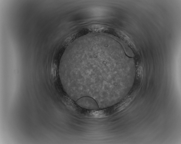 X0000116020283200911271122