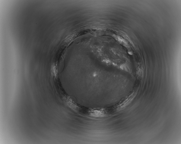 X0000116020285200911271122