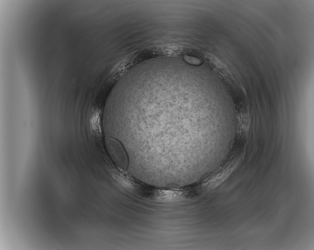 X0000116020286200911271122