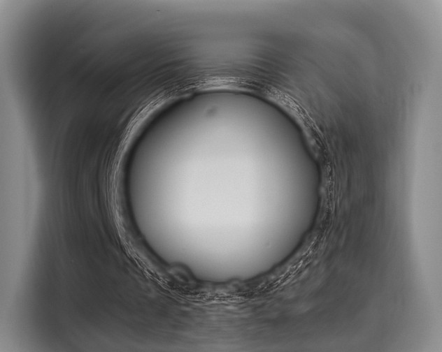 X0000116020289200911271121