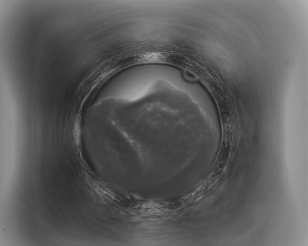 X0000116020290200911271121