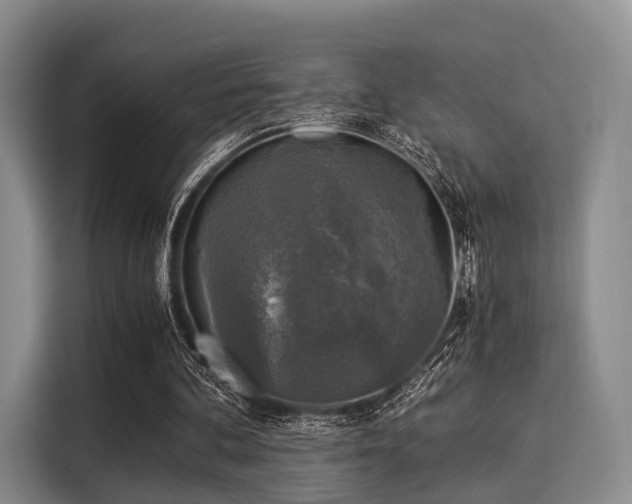 X0000116020292200911271121