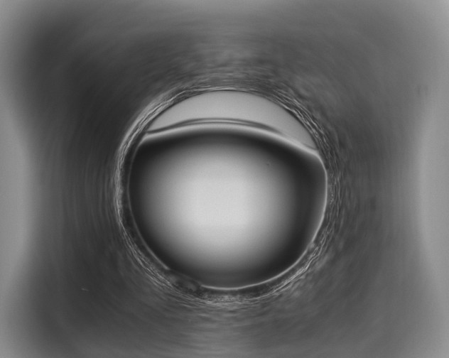 X0000116020293200911271121