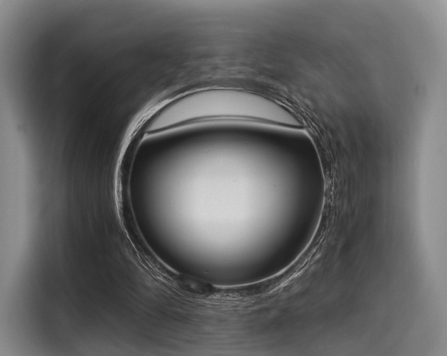 X0000116020294200911271121