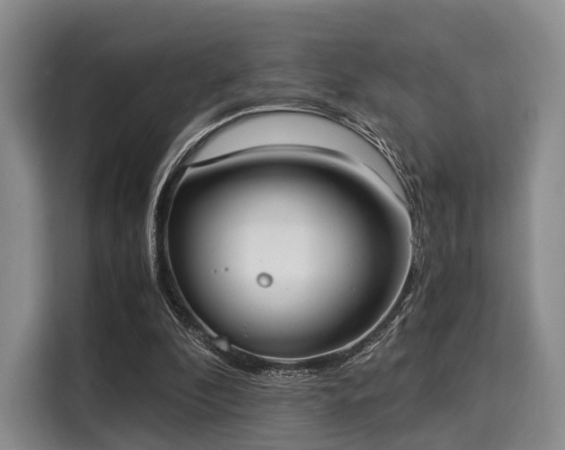 X0000116020296200911271121