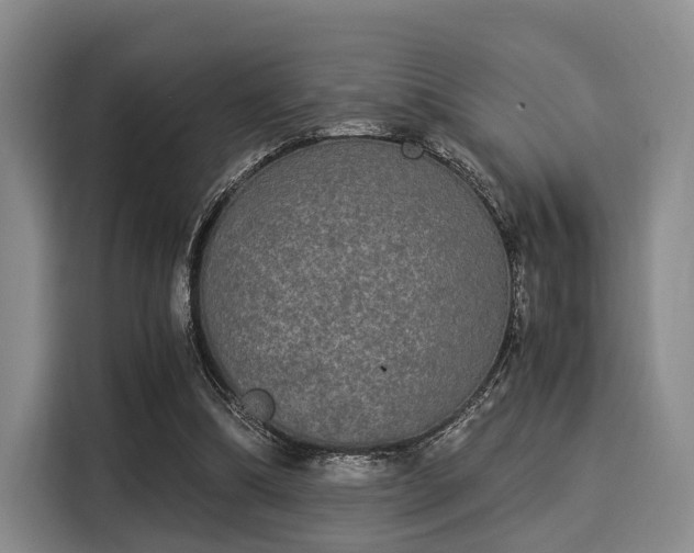 X0000116020298200911271121