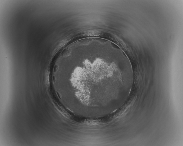 X0000116020299200911271121