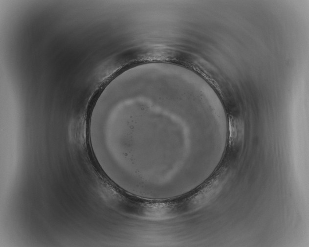 X0000116020301200911271121