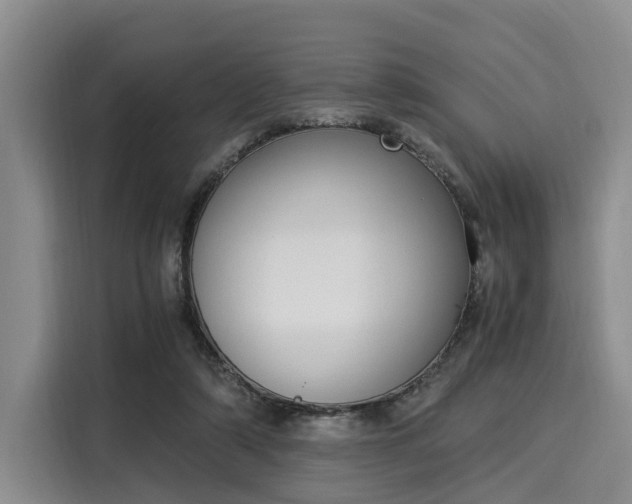 X0000116020306200911271121