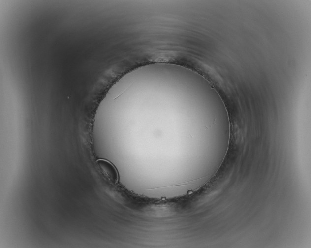 X0000116020307200911271121