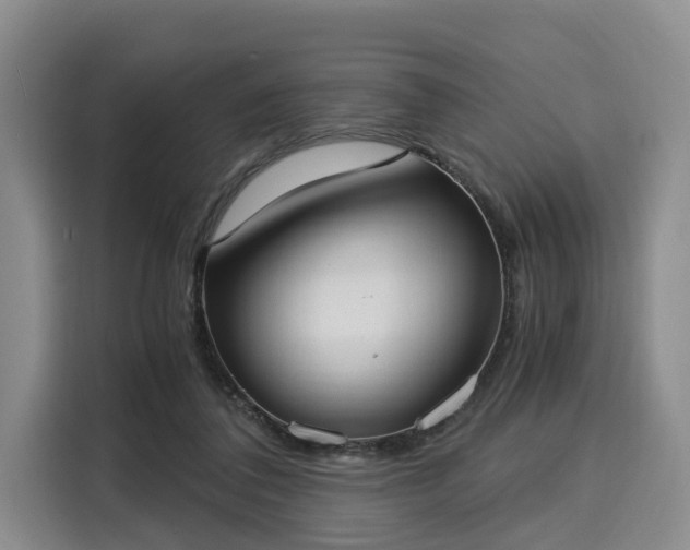 X0000116020308200911271121