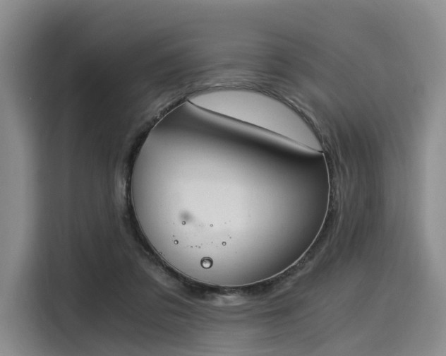 X0000116020309200911271121