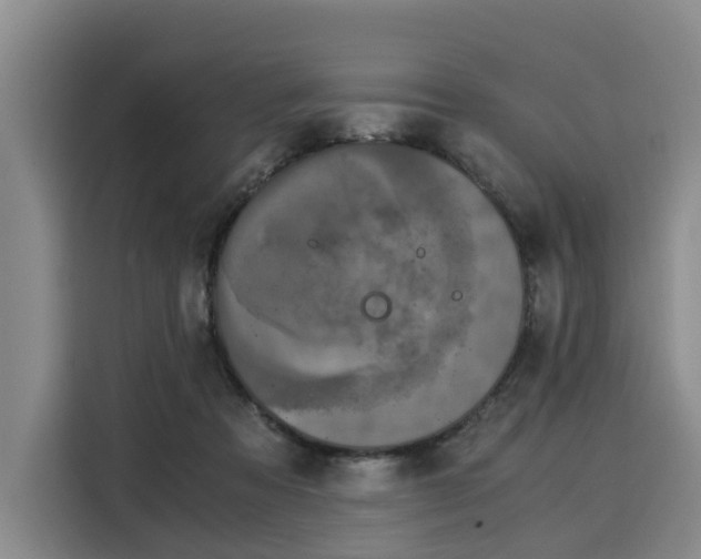 X0000116020313200911271121