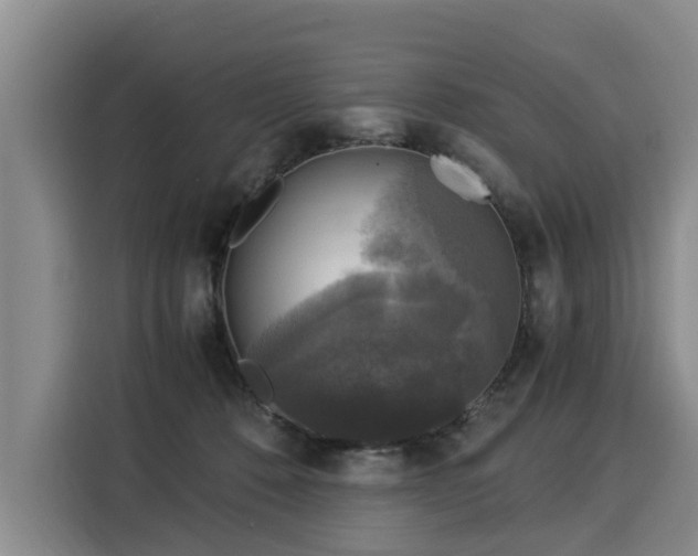 X0000116020320200911271121