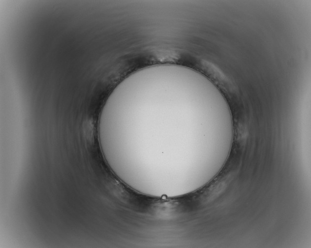 X0000116020321200911271121