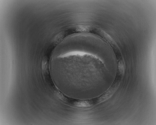 X0000116020322200911271121