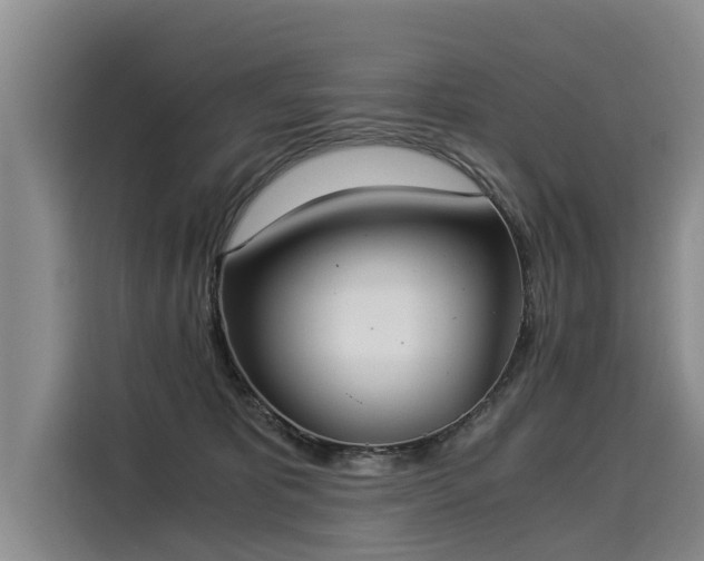 X0000116020325200911271121