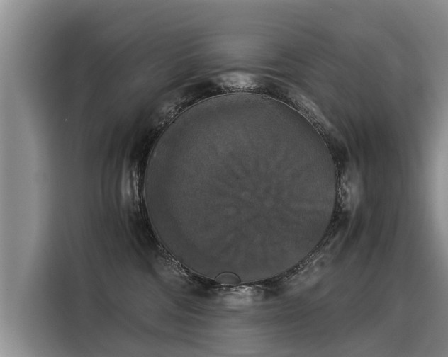 X0000116020330200911271121