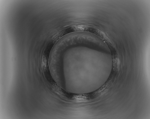 X0000116020331200911271121