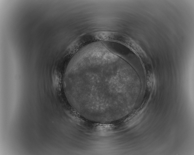 X0000116020332200911271121