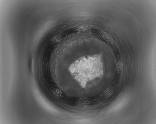 X0000116020335200911271121