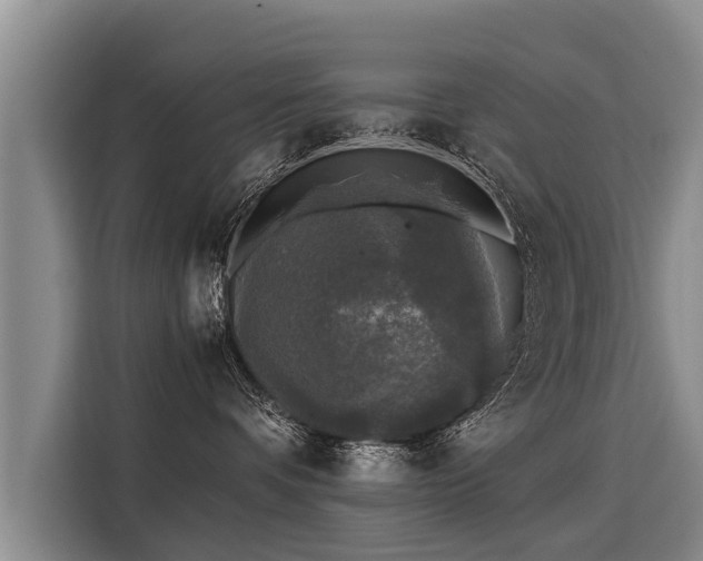 X0000116020336200911271121