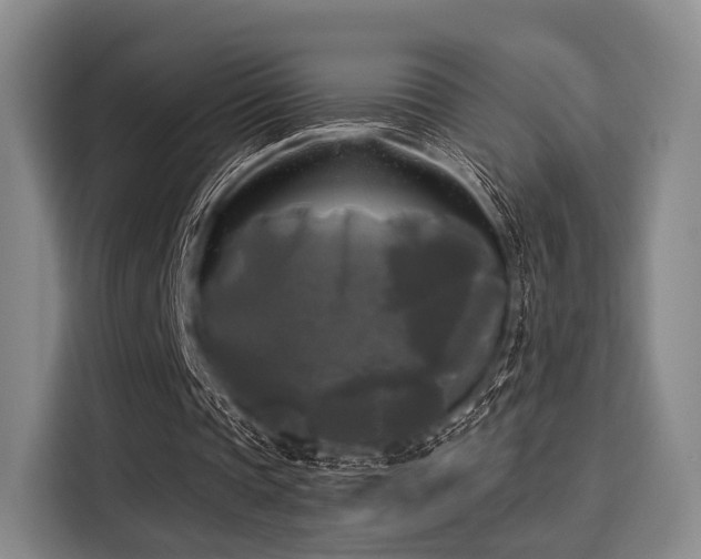 X0000116020337200911271120