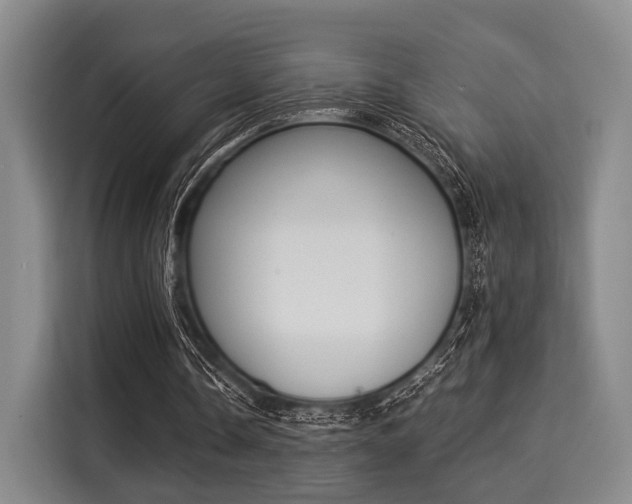 X0000116020338200911271120