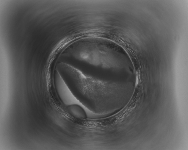 X0000116020339200911271120