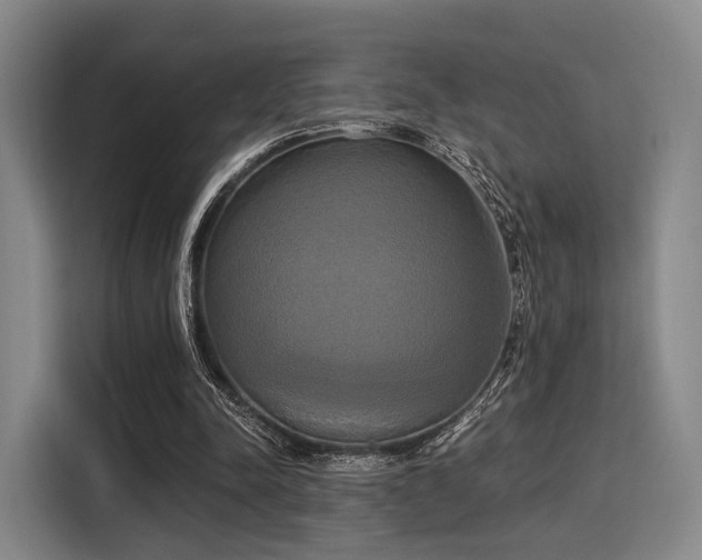 X0000116020342200911271120