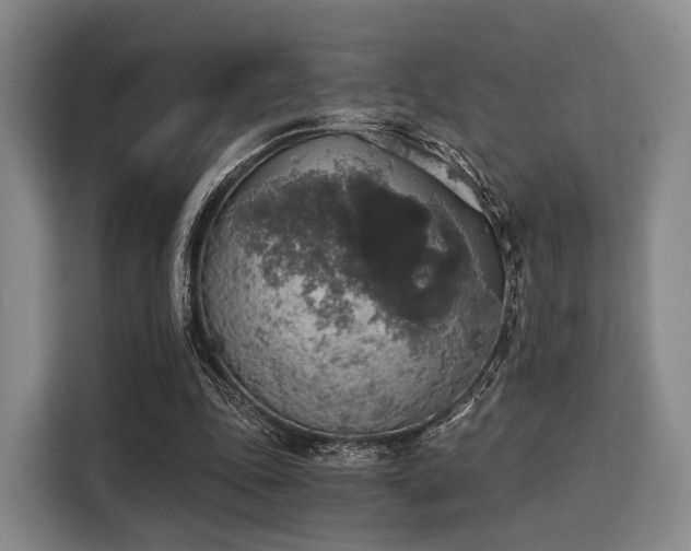 X0000116020343200911271120