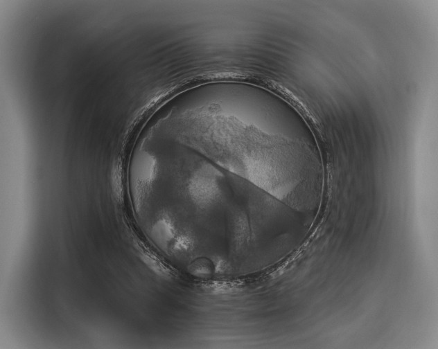 X0000116020345200911271120