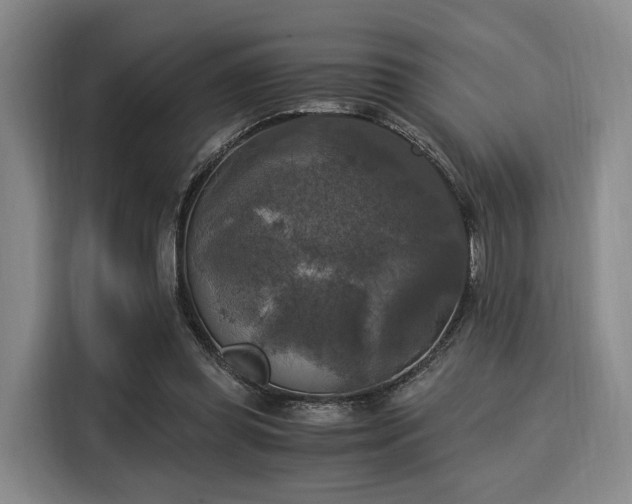 X0000116020349200911271120