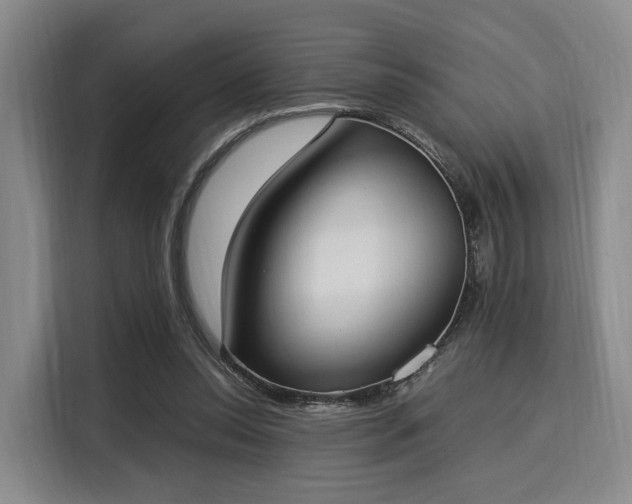 X0000116020350200911271120