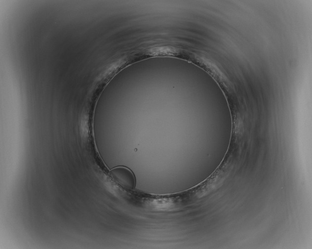 X0000116020353200911271120