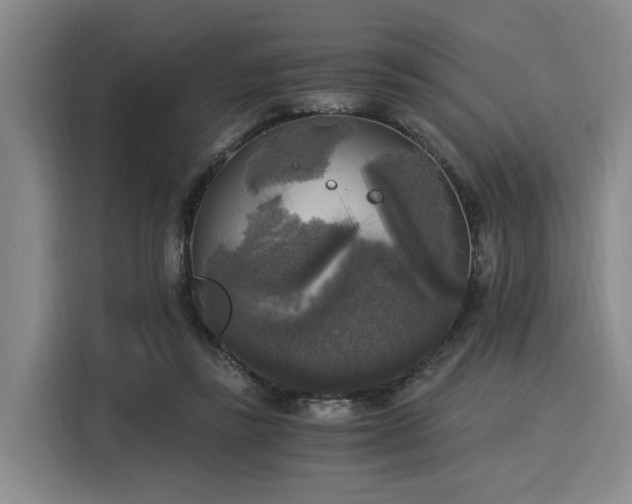 X0000116020355200911271120