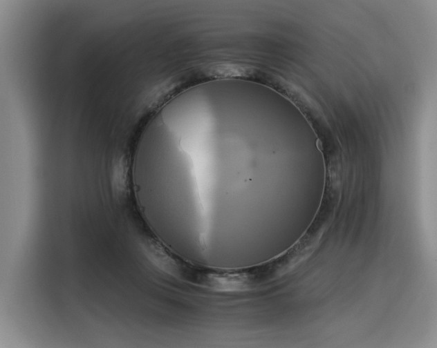 X0000116020359200911271120